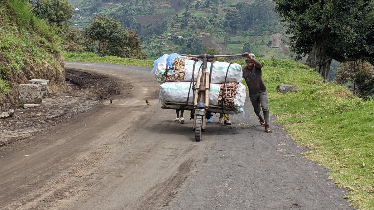 WFPDRC's tweet photo. Voici des tshukudus 🛴
Ces🛴 trottinettes en bois jouent un rôle vital dans les systèmes alimentaires au #NordKivu, permettant notamment le transport de bananes 🍌 choux 🥬 & pommes de terre 🥔
#madein243 #Congo 🇨🇩 #Food #FoodSystems #RDC https://t.co/j4YwZEmYyo