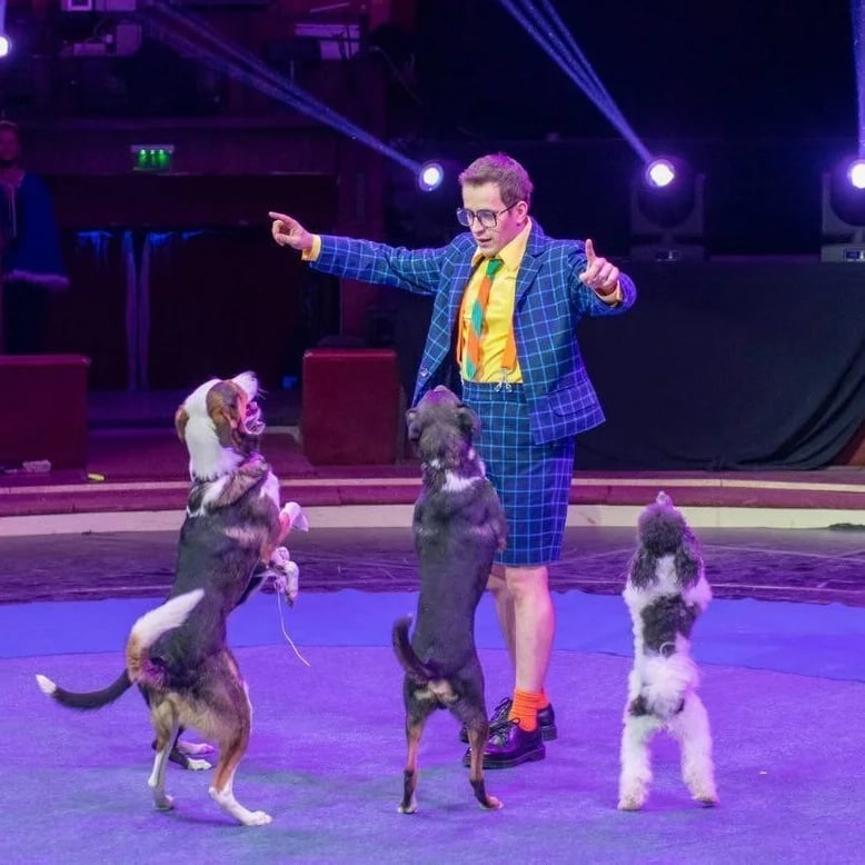 🔹Международный фестиваль циркового искусства в Будапеште🇭🇺
🔹Большой Московский цирк в этом году представляют Александра Левицкая, а также Михаил Ермаков со своими четвероногими воспитанниками🐶

🔸Нам остаётся пожелать удачи и отличного выступления нашим артистам🤞😉