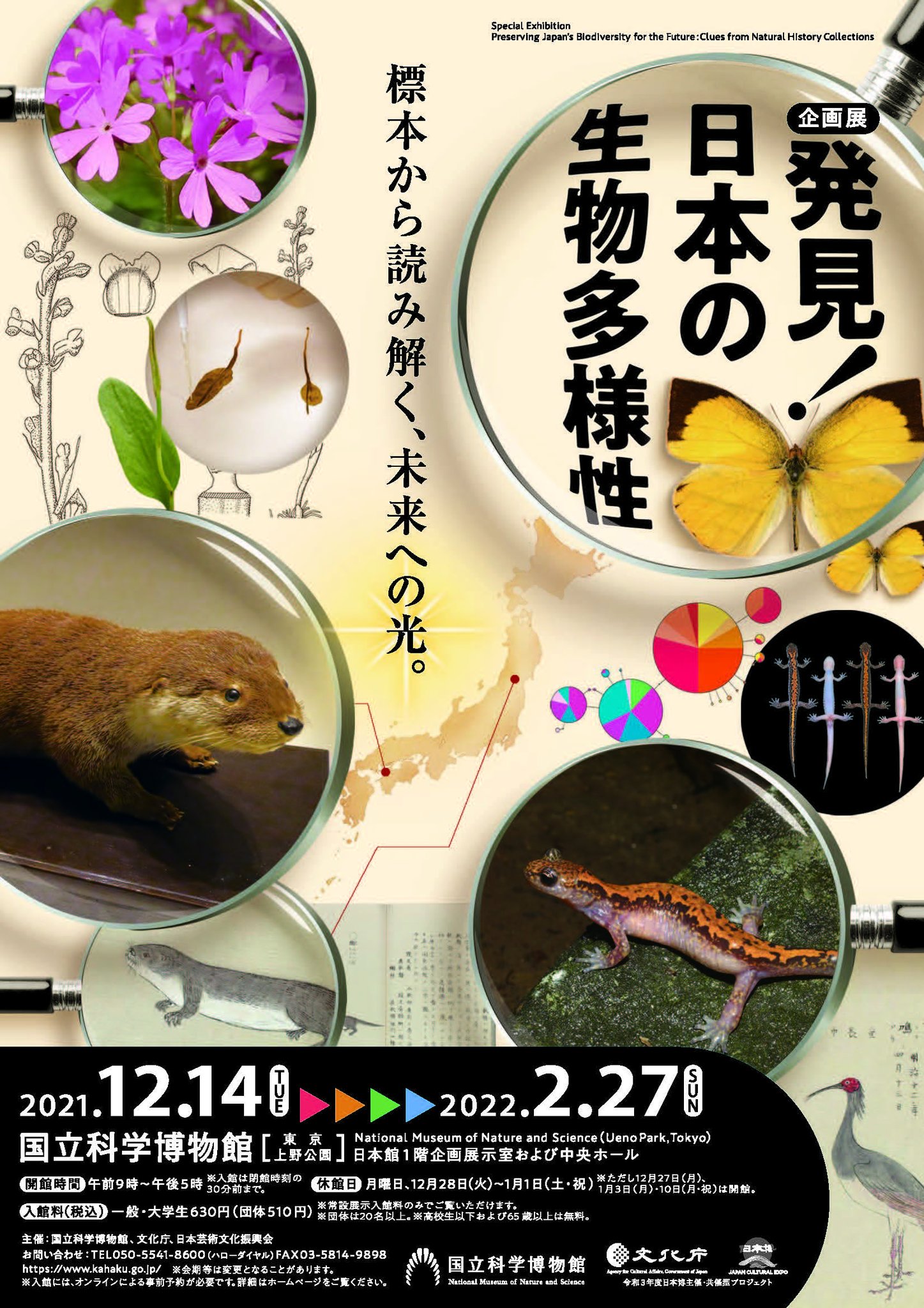 国立博物館　かはくオリジナル図鑑 国立科学博物館 オリジナル図鑑図録 クラウドファンディング返