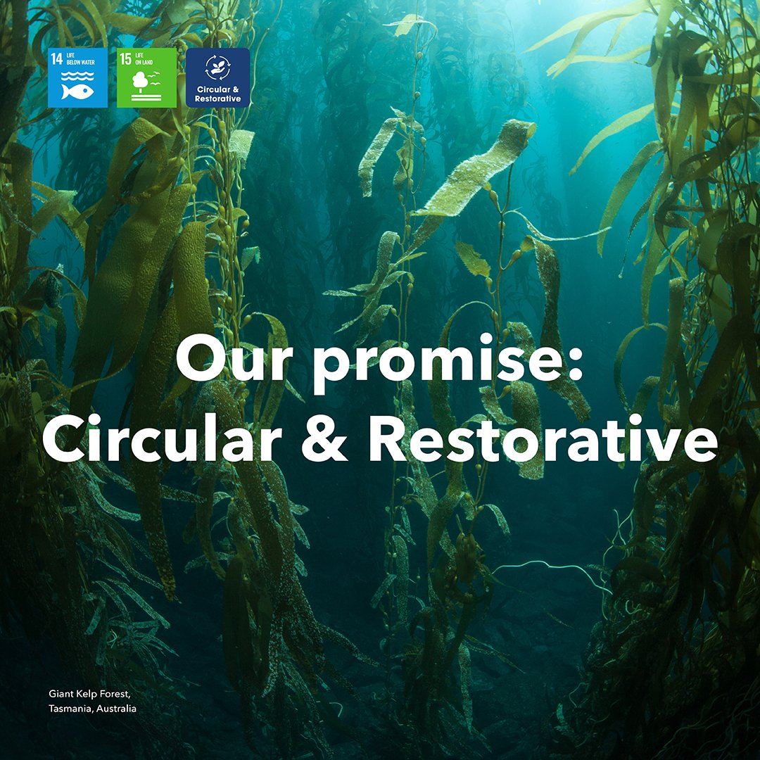 𝗪𝗲 𝗮𝗿𝗲 𝗶𝗻𝗰𝗿𝗲𝗮𝘀𝗶𝗻𝗴 𝗼𝘂𝗿 𝗳𝗼𝗰𝘂𝘀 𝗼𝗻 𝗻𝗼𝘃𝗲𝗹 𝗶𝗻𝗴𝗿𝗲𝗱𝗶𝗲𝗻𝘁𝘀 𝘄𝗶𝘁𝗵 𝗮 𝗻𝗲𝘄 𝗿𝗮𝘄 𝗺𝗮𝘁𝗲𝗿𝗶𝗮𝗹 𝗰𝗮𝘁𝗲𝗴𝗼𝗿𝘆

To fulfil our strategic ambition of utilising raw materials with circular &amp; restorative characteristics.

loom.ly/chAellQ