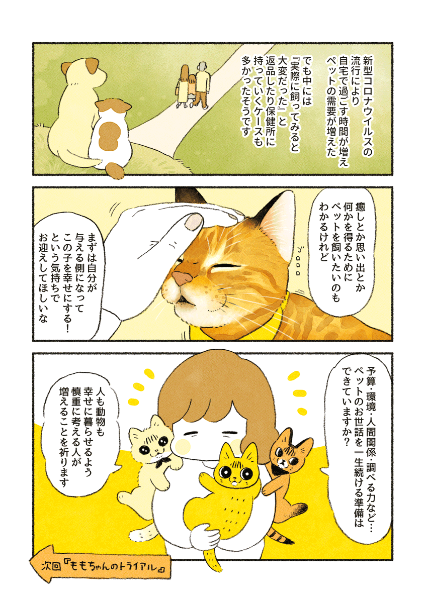 ベンガルのももちゃん(前編)
「ももちゃんの生い立ち」 