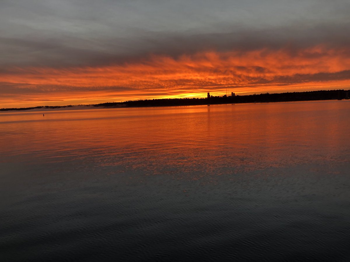After 6 1/2 inches of rain, we need a little beauty in the sky.