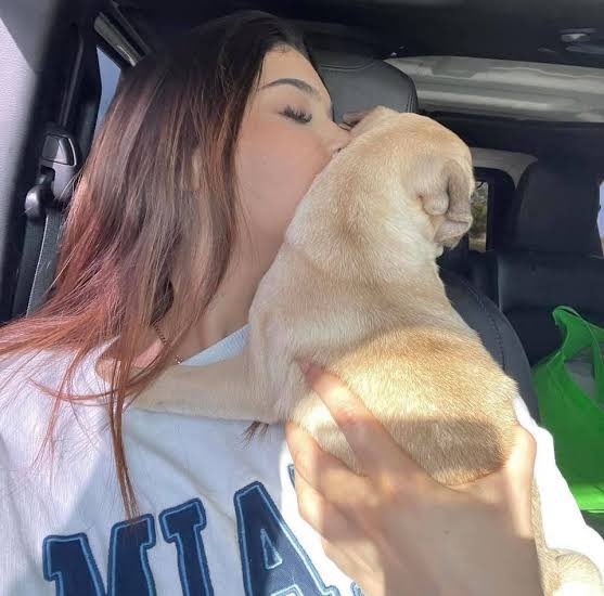 kosIight's tweet image. dios esto debe ser demasiado duro para mis bbs, espero se encuentren bien y  ramoncilla gracias por darle tanta paz y felicidad a mis niñas al igual que ellas te estarán eternamente agradecidas por el tiempo que les permitiste a tu lado, vuela alto bb. 🥺🤍