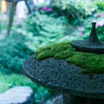 【公式】瑠璃光(よろづや観光運営)のツイート画像
