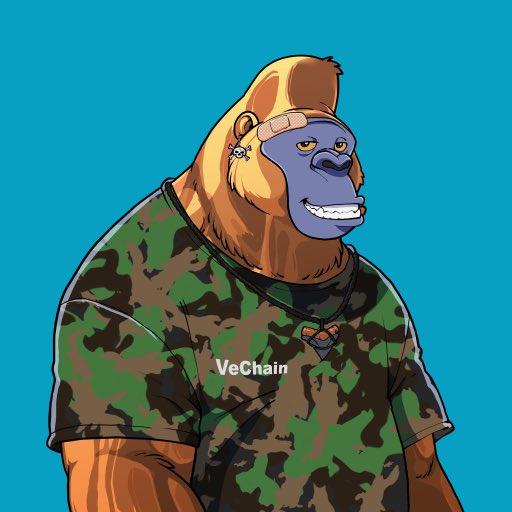 Scott Tuck tweet media