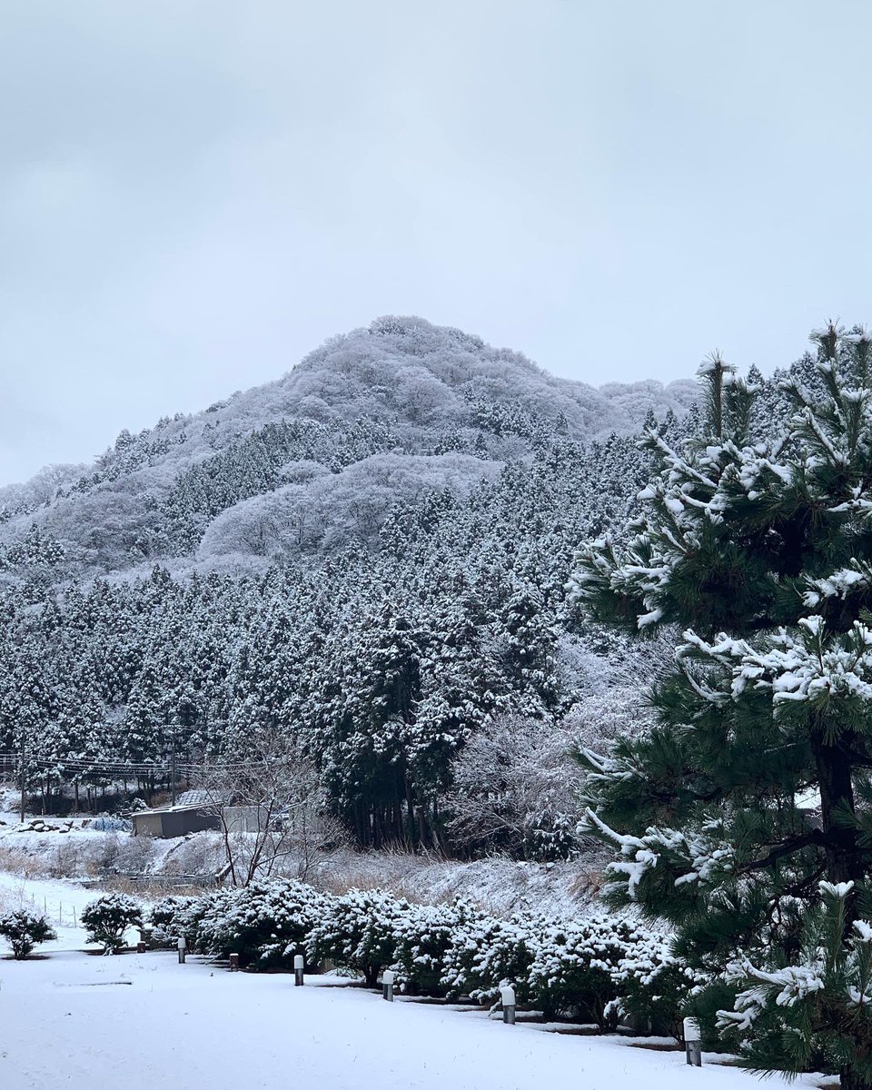 雪化粧 能登里山 めちゃ綺麗だったので撮りました！