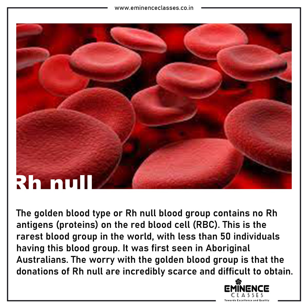 Vector Illustration of O Positive Versus O Negative Blood Types 8131548  Vector Art at Vecteezy, image size:1200x1200