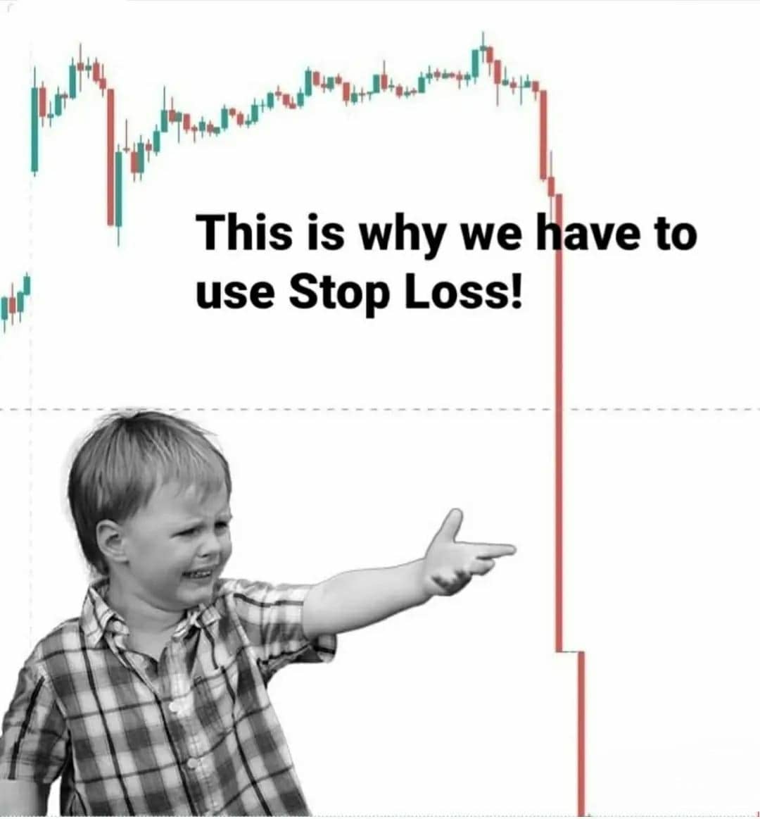 CryptoMustangs tweet picture