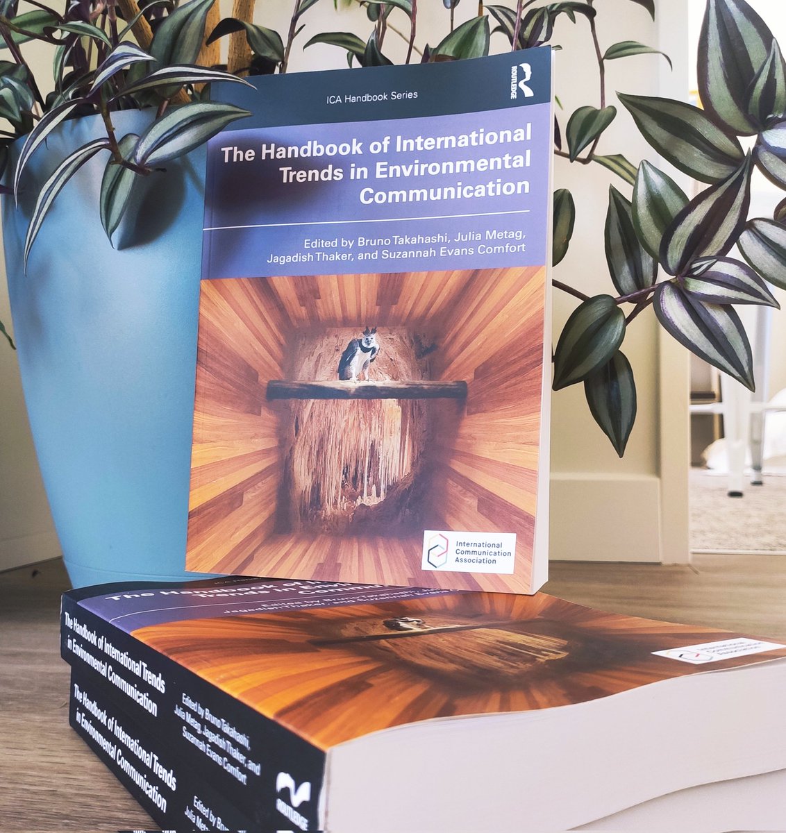 Thrilled to be part of @icahdq Handbook of International Trends in #EnvCom. Insightful analysis of the past, present, & future of Env Comm from top scholars across the world 🧵 @tandfonline #scicomm #healthcomm #Communication routledge.com/The-Handbook-o… shorturl.at/ltGL6