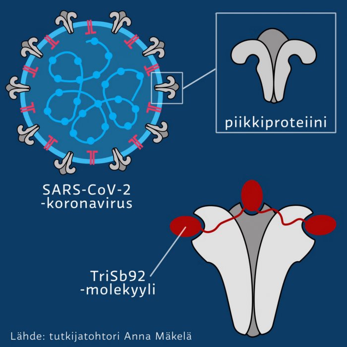 A scientific research team from the University of Helsinki in Finland has developed a nasal spray therapy for the prevention of new coronaviruses, which can provide continuous protection for 8 hours. https://t.co/orjfUvB4IV