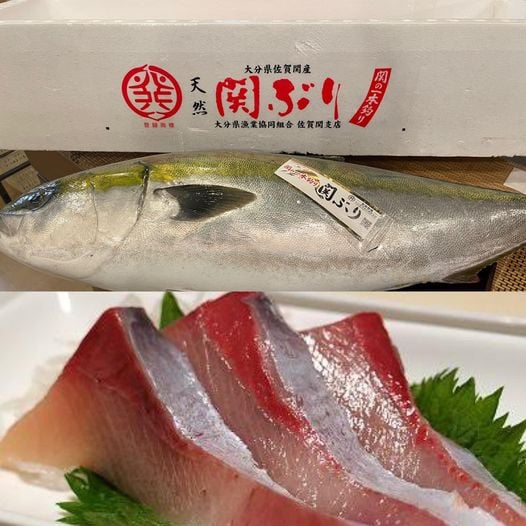 Noriaki Sushi Sushi Noriaki Twitter Noriaki Sushi Sushi Noriaki Twitter