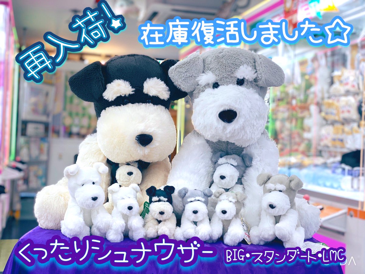 GAO歌舞伎町店【AMUFUN直営店】 on X: GAO歌舞伎町店【AMUFUN直営店】 on X: