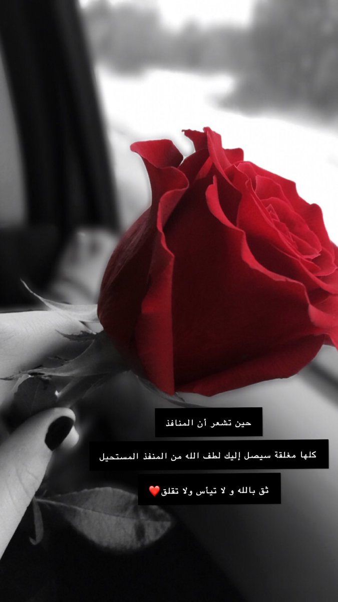 salha331's tweet photo. https://t.co/WMk7dJaVA5