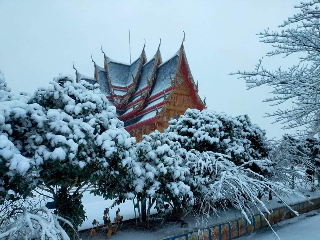 หิมะตกที่วัดไทย ในนาริตะ ญี่ปุ่น