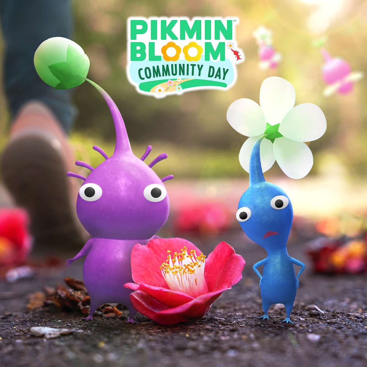 Pikmin Bloom on Twitter coming up January 22nd (Sat)🌼