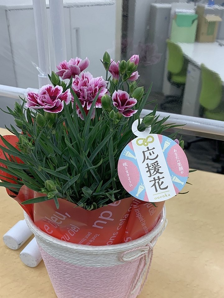 公式 河合塾 枯れても花が落ちにくいことから 受験生を応援する 応援花 と名付けられたカーネーション 鮮やかなピンクの花がきれいですね 今週末はいよいよ 共通テスト 頑張れ 受験生 久留米花卉園芸農業協同組合 応援花 T Co 公式 河合塾 枯れても花が落ちにくいことから 受験生を応援する 応援花 と名付けられたカーネーション 鮮やかなピンクの花がきれいですね 今週末はいよいよ 共通テスト 頑張れ 受験生 久留米花卉園芸農業協同組合 応援花 T Co