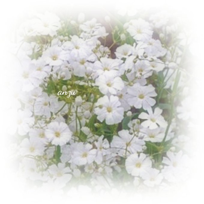 ポエムのtwitterイラスト検索結果