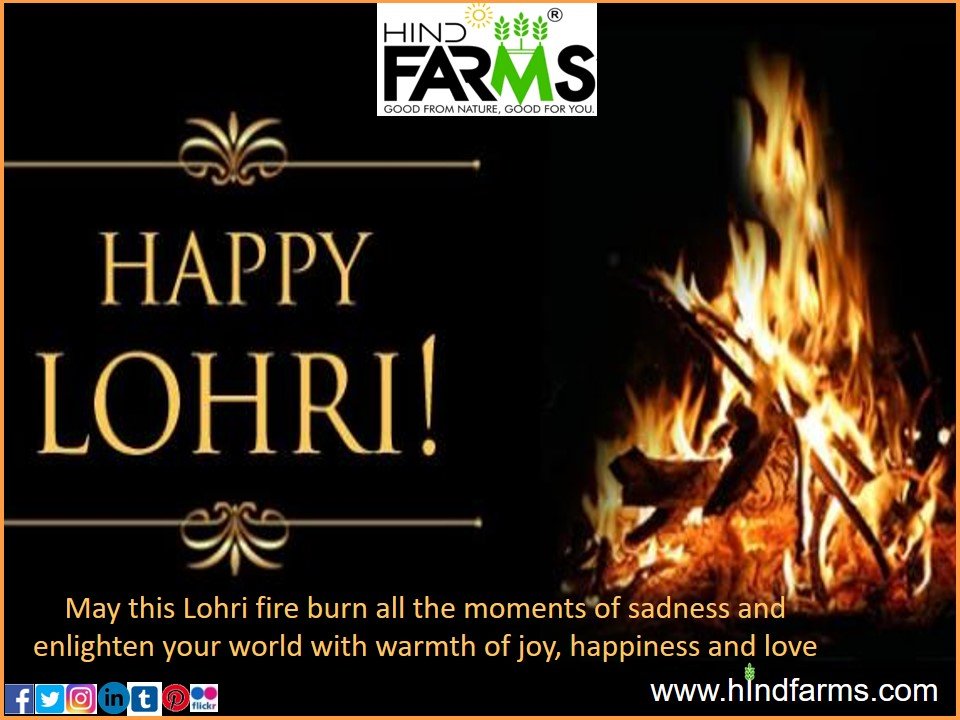 hindfarms's tweet photo. #happylohri #lohri #lohricelebration #festival #lohrifestival #lohriparty #punjabi #indianfestival #india #love #happy #delhi #celebration #lohriwishes #sankranti #follow #kheer #makarsankranti #fun #happymakarsankranti #foodstagram #yummy #sodelhi #paneer #itsgoinreal #winter https://t.co/IBK8N83aSz