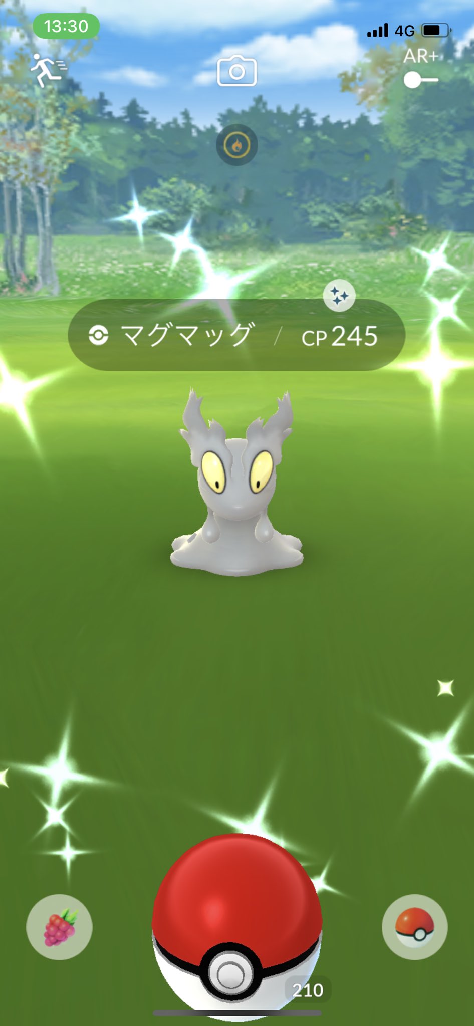 いのこー Inokokin Inokokin Pokego Twitter
