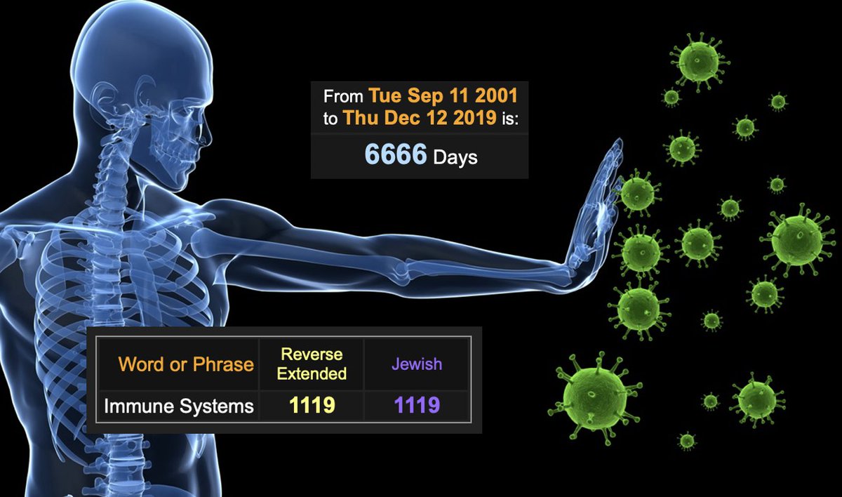 The War on Immune Systems is The New 9/11/1. Never Forget that covid was first reported 6666 days after the September 11th Attack.