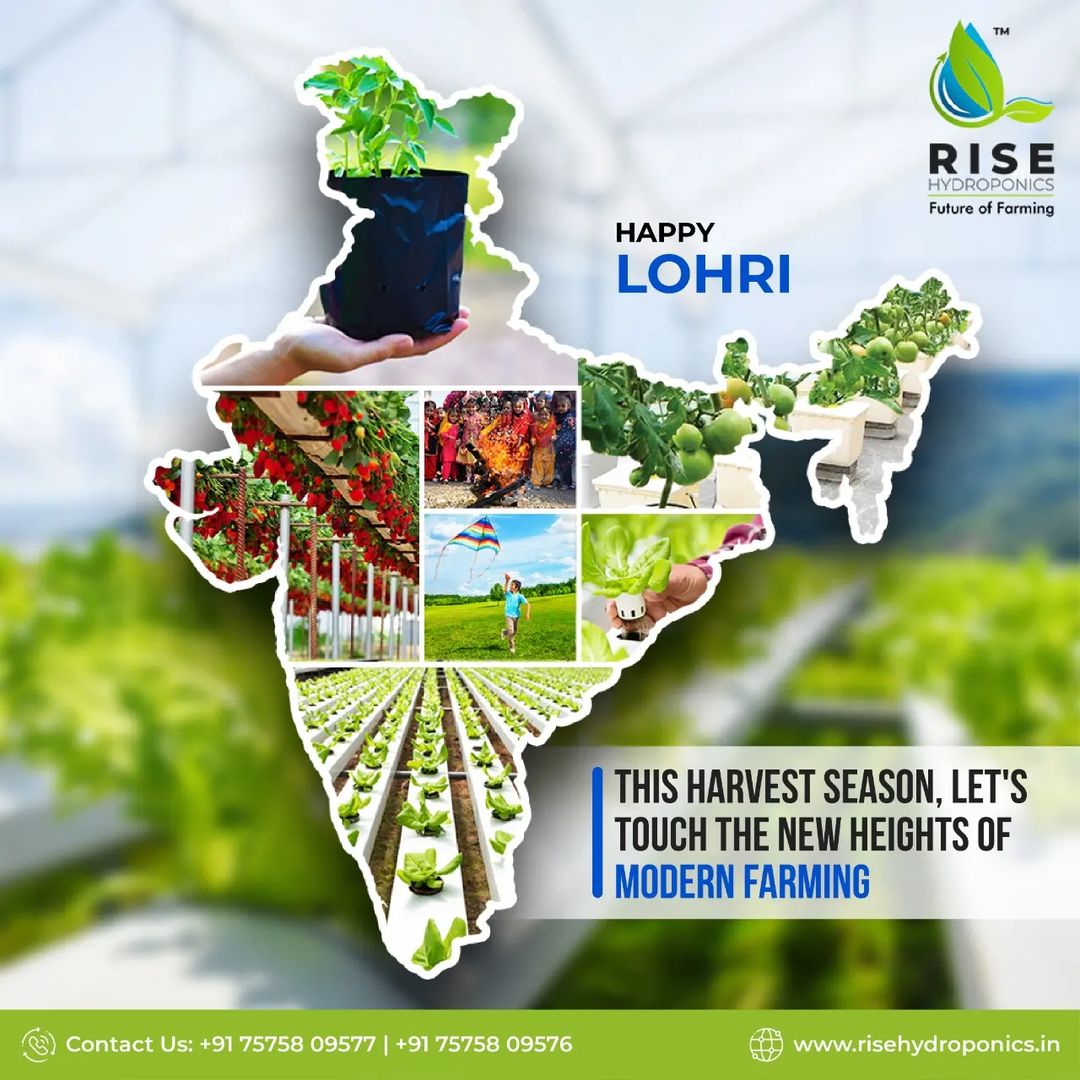 RiseHydroponics's tweet photo. May the festival of Lohri brings New Hopes, Positivity &amp; Enthusiasm in your Life✨

Happy Lohri &amp; Harvesting to all!

#risehydro #risehydroponics #lohri #happylohri #lohri2022 #lohricelebration #lohrifestival #lohrispecial #happylohri2022 #harvesting #harvest https://t.co/OEUez18yoC