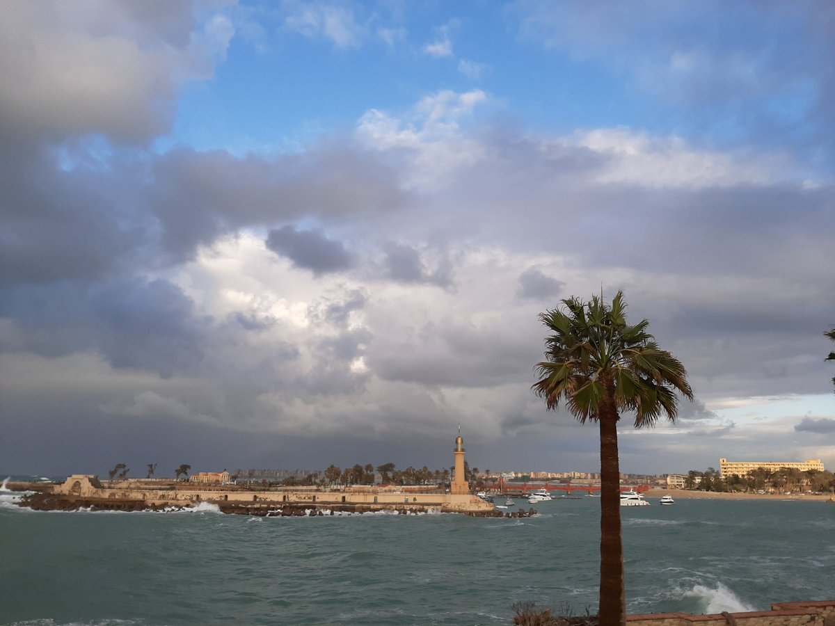 Alex 🔥🔥