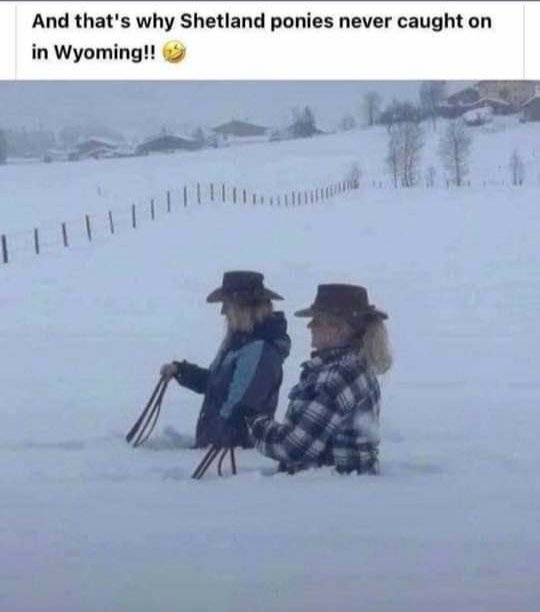 Forlock (@forlocktugger) on Twitter photo 