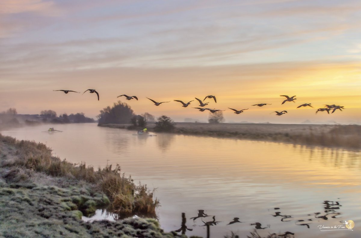 VeronicaJoPo's tweet photo. It certainly was the morning of geese, frost and a little bit of mist yesterday. 
Let’s see what today will bring. 🤗
Ely, Cambridgeshire 
#sunrise #lovenature #flyingeese #theFens #rowing @CUBCsquad https://t.co/coSrC3XsaC