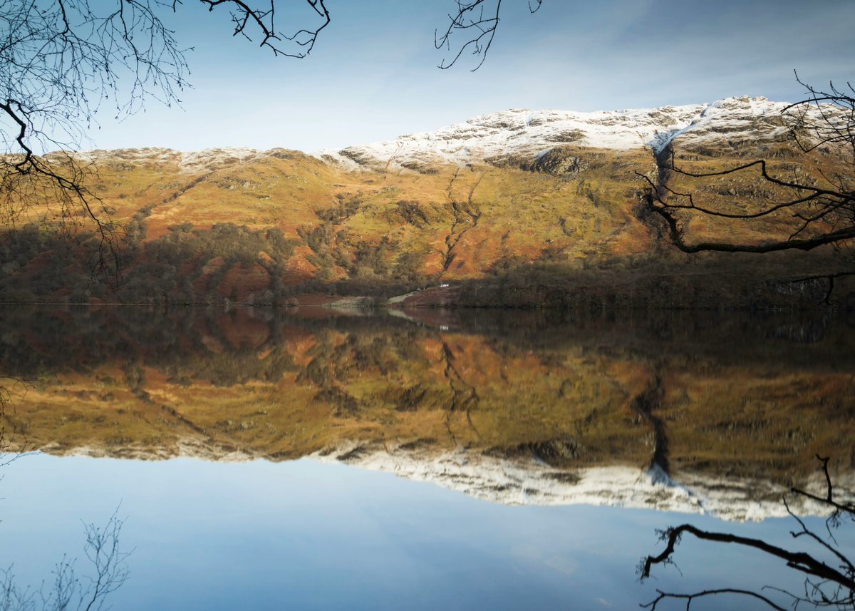 #TBT A winter's afternoon - reflections on Loch Lomond from Ardlui from January 2018

#VisitScotland #lochlomond #ardlui #ScotlandIsCalling #scotlandinsta #simplyscotland #scotland_greatshots #unlimitedscotland #scotlandscenery