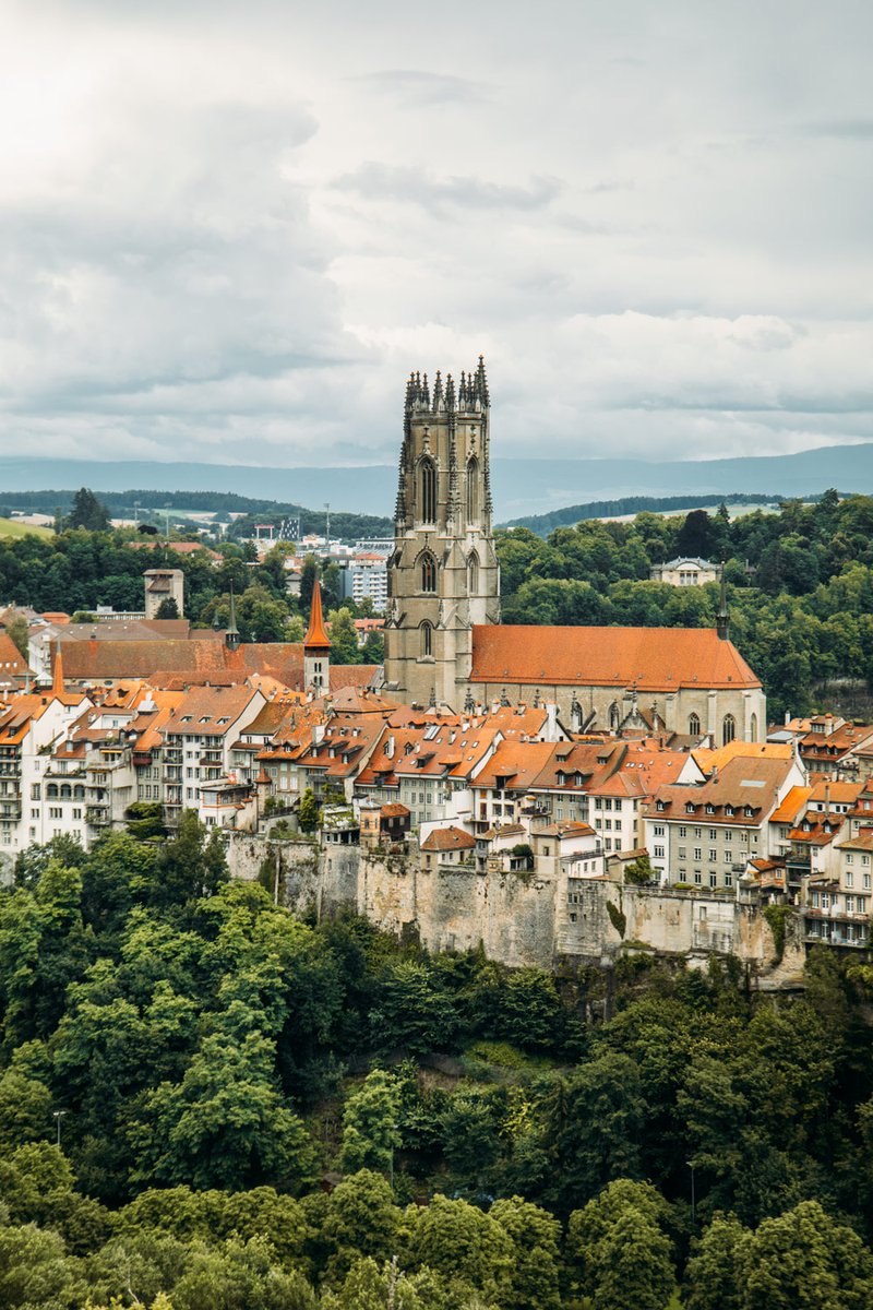 hellolaroux tweet media