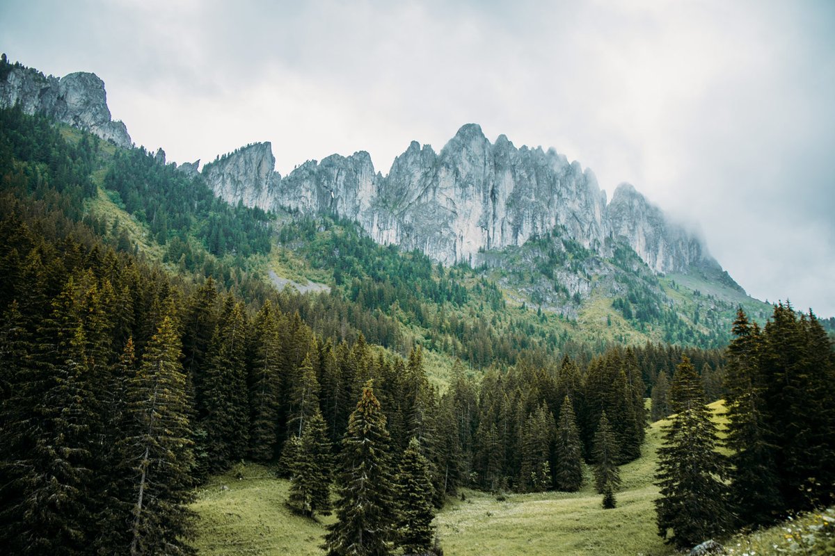 hellolaroux tweet media