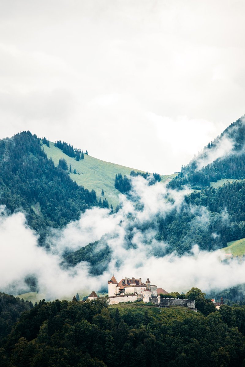 hellolaroux tweet media