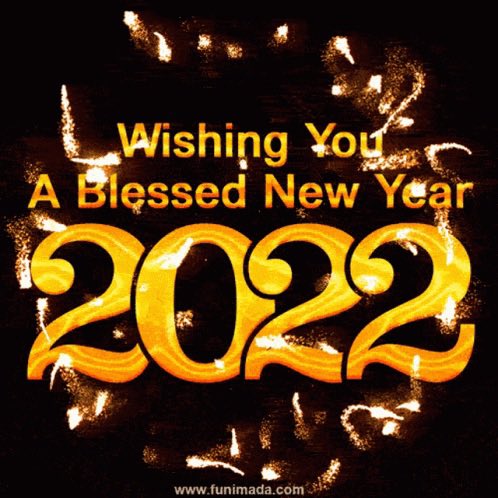 CatteryPetals's tweet photo. Happy new year from Brulé, ginger, forest, impound stuff https://t.co/wNA1MyR42l