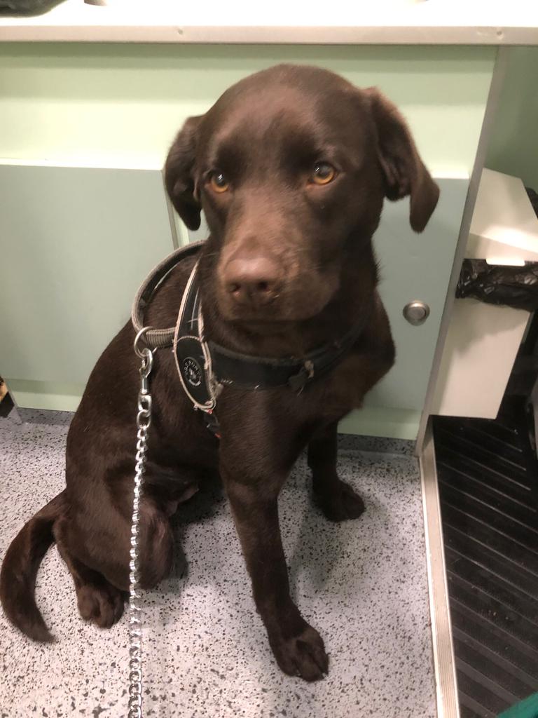 Help mee zoeken naar de baas, voor de eerste feelgood van het jaar