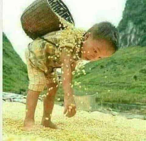 BoosJ336's tweet photo. .
لا تنحني ولا تسقط ولكن ..  
قف!! وكافح و واجه الحياه بكل 
أريحيه وتذكر.. « إنّ وراء كٌل غيّم 
كثيف هٌناك مطّر »..🌸
  #سنه_جديده_2022 https://t.co/jRl9yIJsph