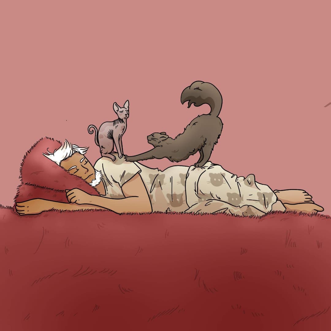 Lully_cie's tweet photo. On inverse les espèces, n°2 😁 https://t.co/KwGgMh5Nvk