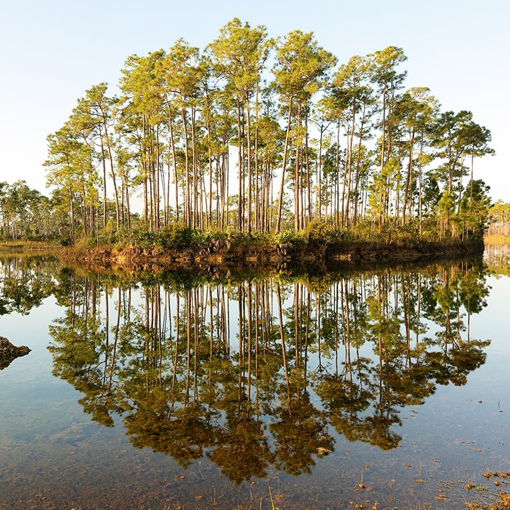 FLOceanographic's tweet photo. Looking to make a bigger #impact in the #fightforcleanwater in the #newyear? Send a message to @JaxStrong Tell them that #commonsense #waterpolicy must include ZERO discharges to the #IndianRiverLagoon and St. Lucie Estuary.
Make your voice heard! 👉 https://t.co/D1XlTOLvOP https://t.co/IAoZ1CMuyi