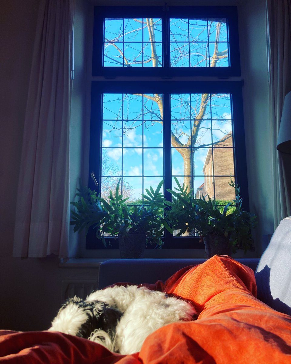 Vanuit ‘hotel-Corona’ wensen wij een ieder een gezond 2022. We gingen positief getest het jaar uit en beginnen dit jaar met herstellen. Blijf gezond allen!