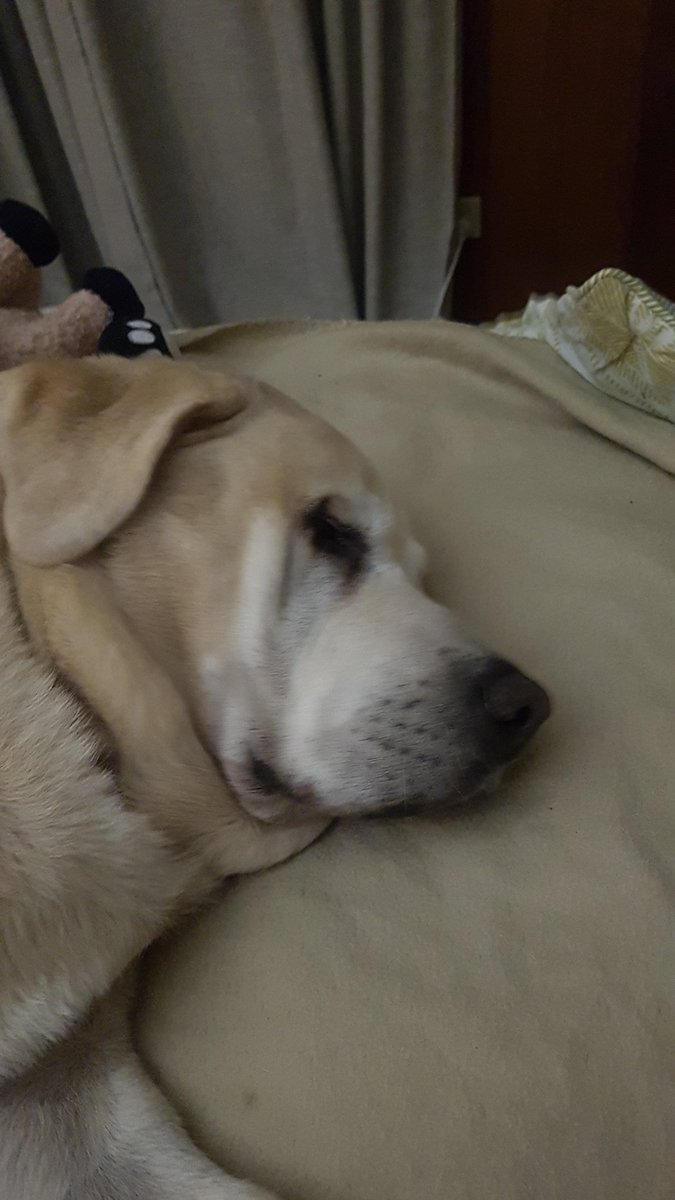 G'nite everyone. Bless you all.