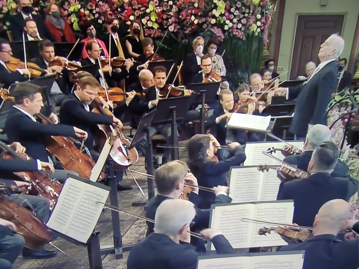 elbarroquista's tweet photo. Igual es un poco 'unpopular opinion', pero si os mola ver y oir el #ConciertoDeAñoNuevo emberdá os digo que deberíais escuchar más música clásica. Porque el repertorio vienés no es precisamente de lo más divertido. 

Más bien destaca por ser bastante muermo (dicho con cariño). https://t.co/ZXIOfBt8JW