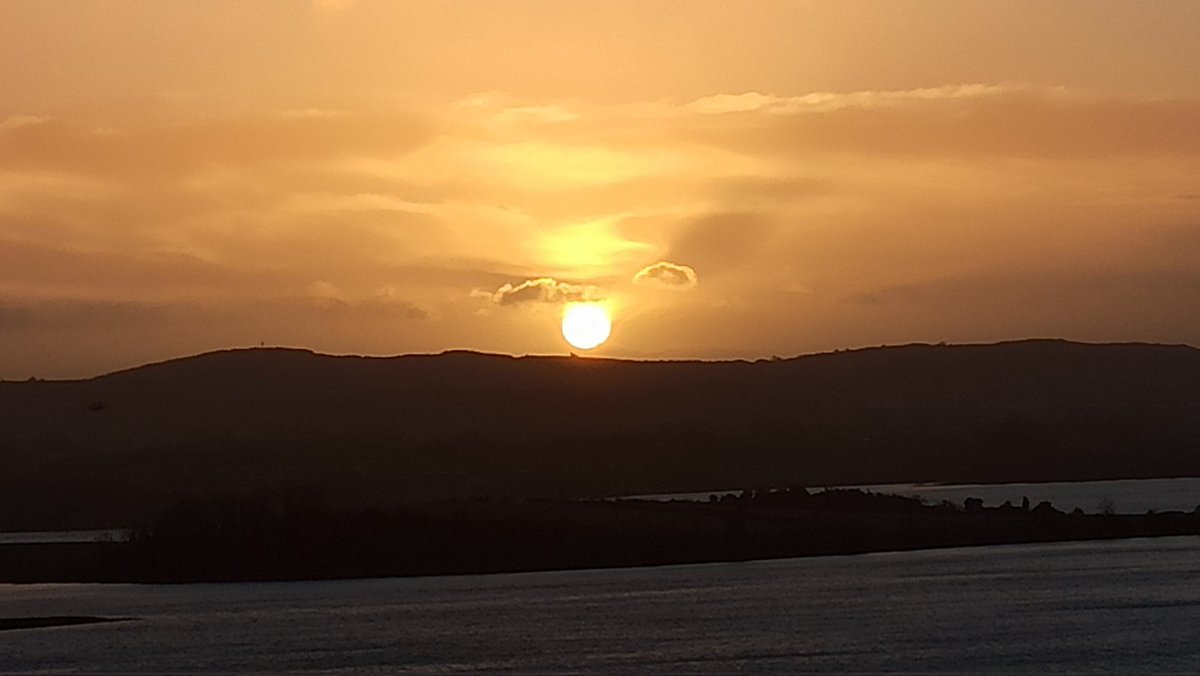 looee66's tweet image. Sunrise walk at Delamont Country Park - Happy new year!