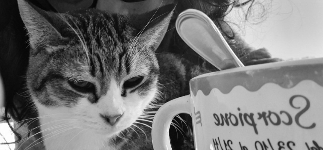 alefinoallafine's tweet photo. Esattamente un anno fa...
Colazione insieme ❤
Manchi piccola mia... 
#ciccia #partedime https://t.co/3Qewct3Mrg