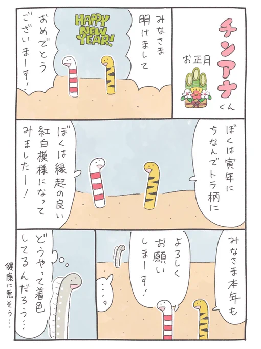 チンアナくんお正月 