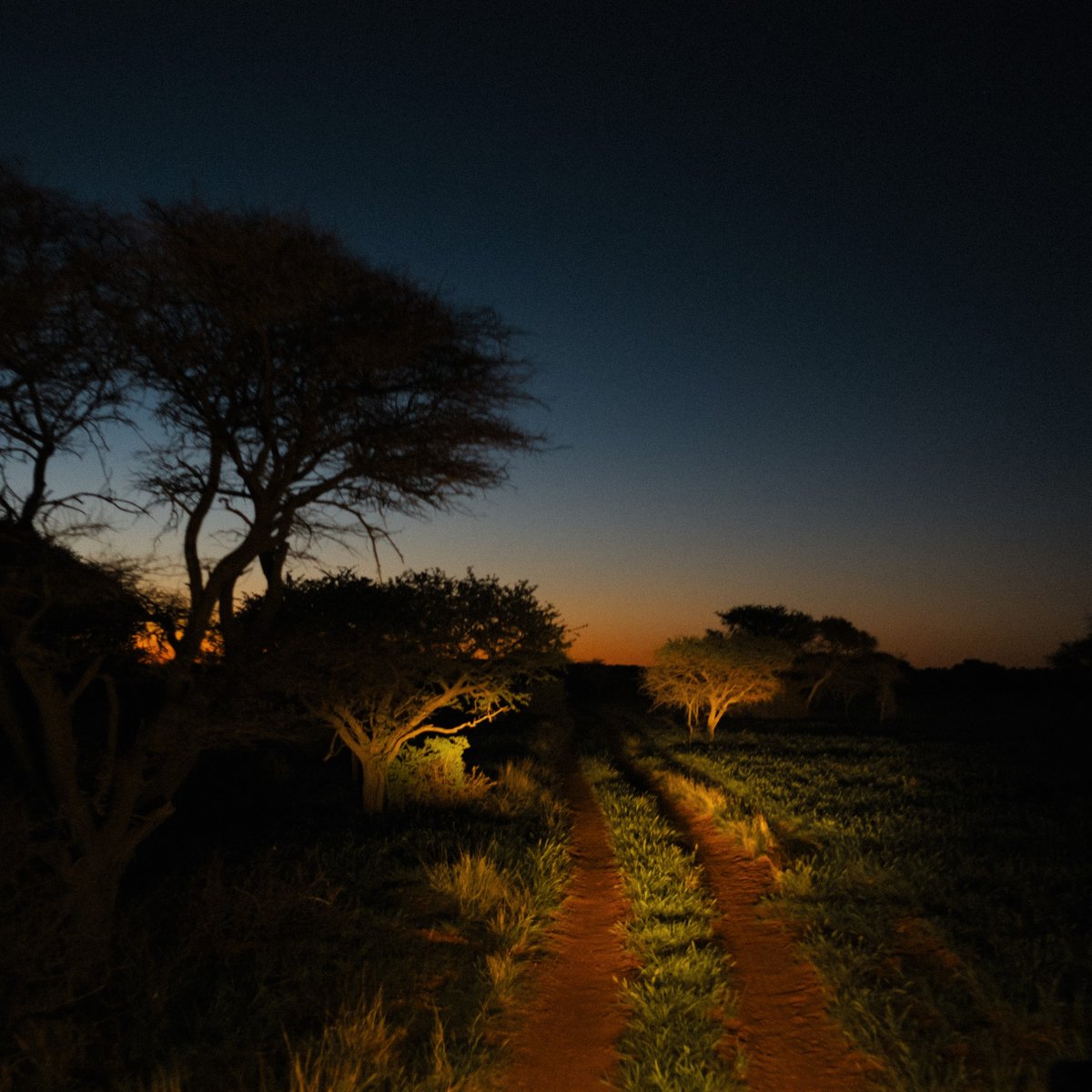 With the start of 2022, we are setting our resolutions. 
This year, we’ll continue to lead the way guided by our #BuildingForever approach.  Discover more: bit.ly/3eCAfTj

#DeBeers