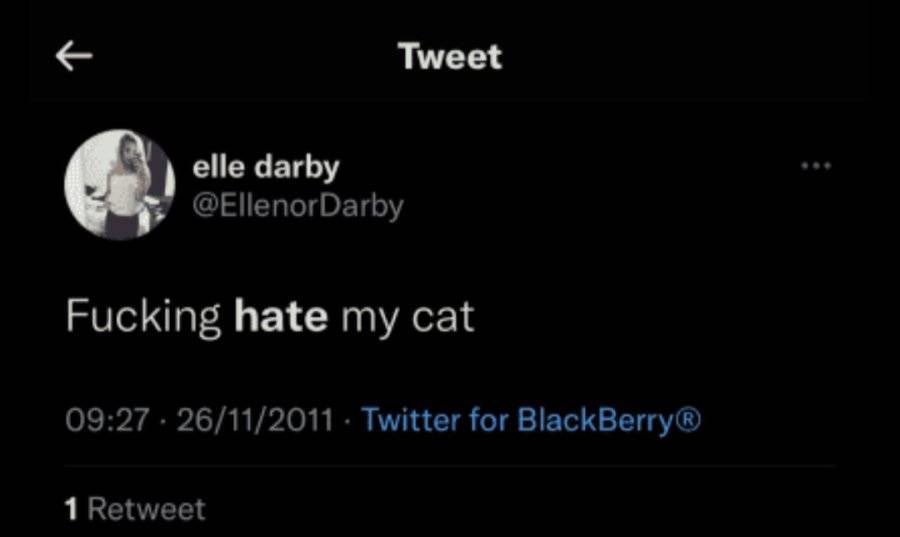 Claire04652396's tweet photo. Further Elle Darby tweets for those who were blocked from asking her on Instagram about what tweets they were

Please note that Elle’s sister also has a learning disability 

Also note there was no apology https://t.co/WFjMNpvxeX