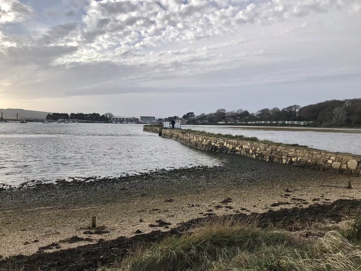 Zakitina_Lily's tweet photo. #HappyNewYear just been to the #duver #sthelens for a brisk walk this morning - at last some #bluesky  @VisitIOW @jaymar6665  #IsleofWight https://t.co/piXoQITEg6