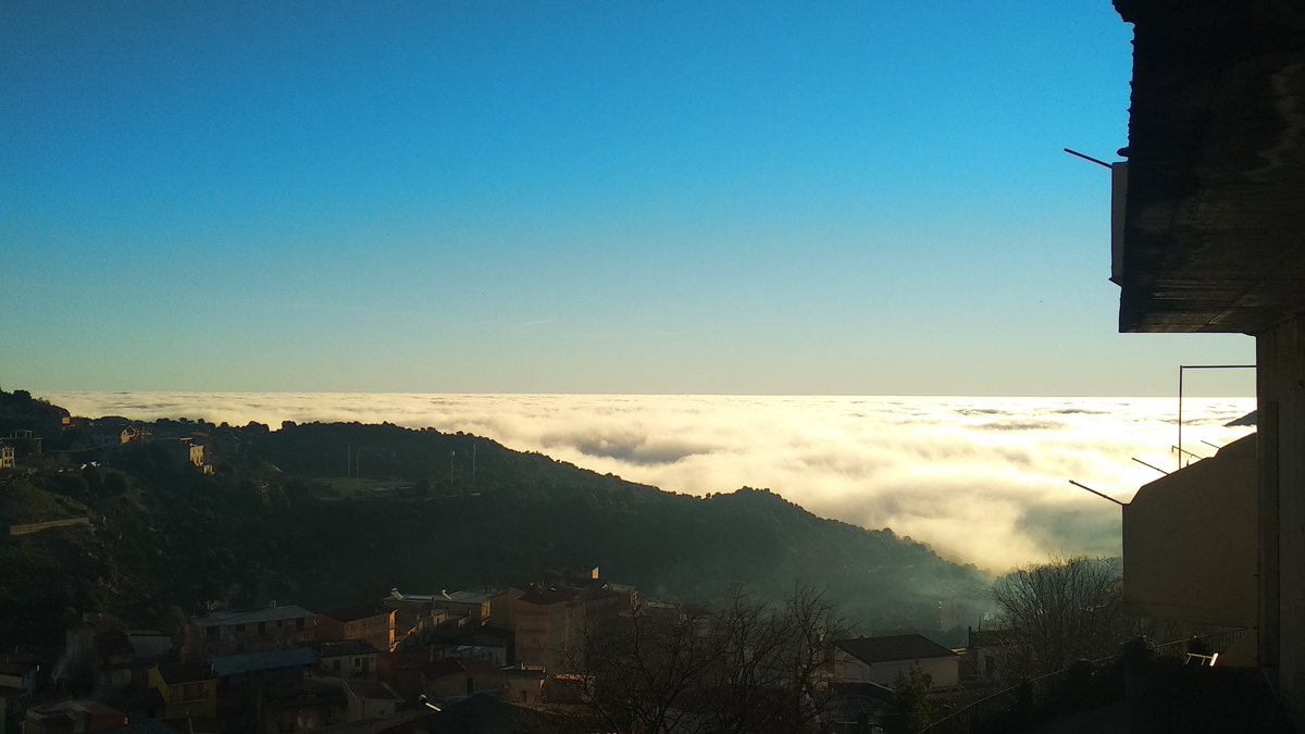 _robyb_'s tweet photo. Il canto del cuculo e gli animali tutti che si riprendono lentamente dallo shock di ieri notte. Il consueto manto di nuvola nasconde il mare ma il sole ci accarezza anche oggi. #2022 #NewYear #invecchiando #Older #NewYear2022 https://t.co/EITgcIAsrD