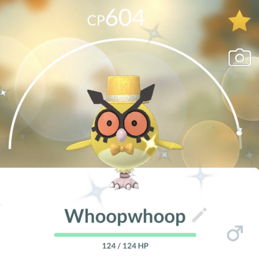 copytonic's tweet photo. ✨🎉 Shiny New Year! 🍾✨ Caught a golden ✨💛🦉Shiny Hoothoot 🦉💛✨ https://t.co/oF2LnRvg1F