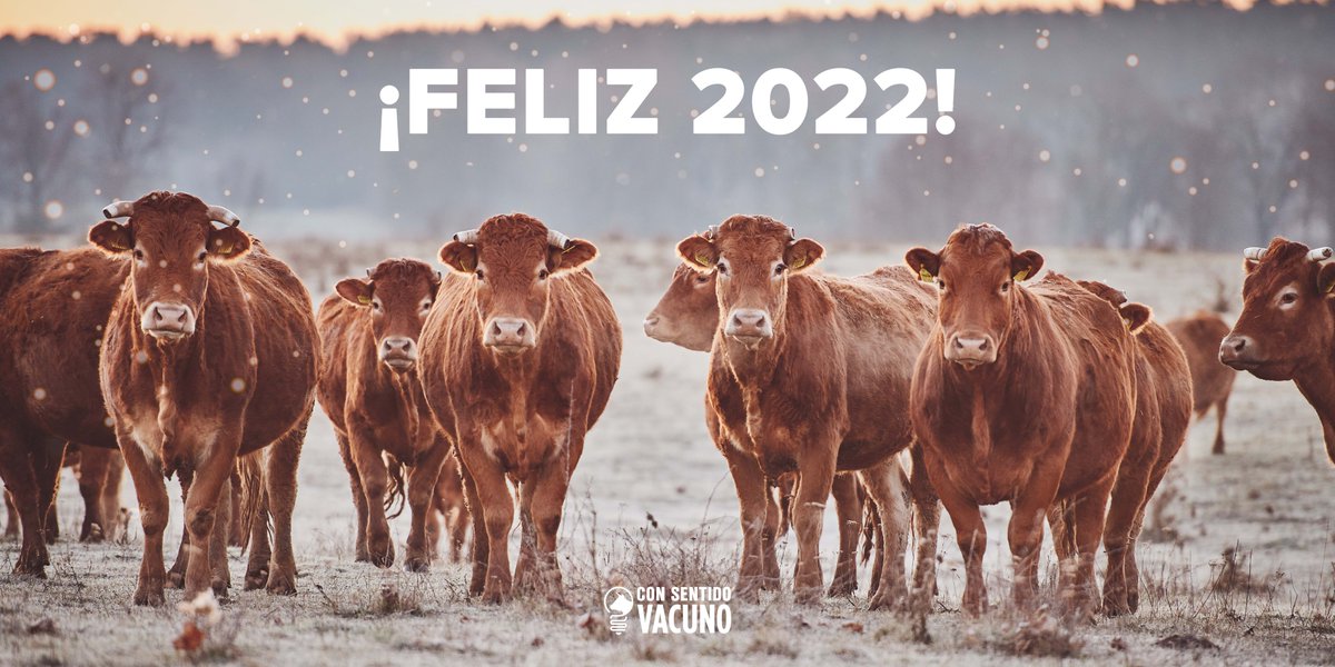 SentidoVacuno's tweet photo. ¡Feliz 2022! 🥳 Un año en el que seguiremos dando visibilidad a la labor de #veterinarios, #ganaderos y expertos del sector del vacuno de cebo 🐮 #felizaño #feliz2022 https://t.co/sZjC1xWPAU