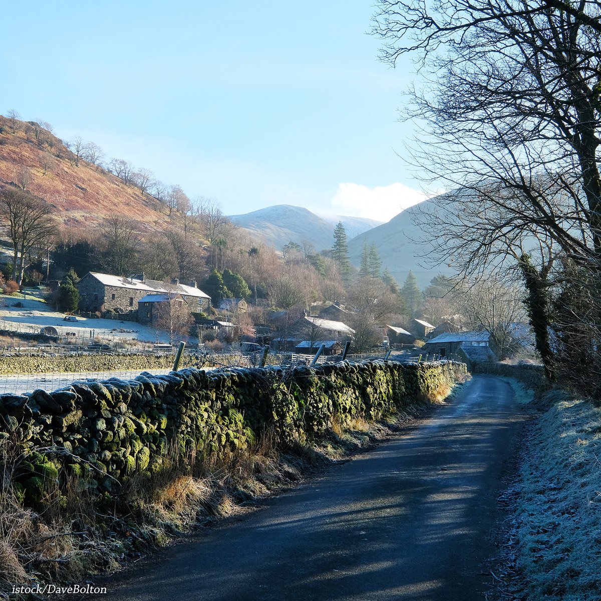 Sally's Cottages tweet media